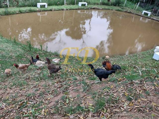 #988 - Chácara com Lago para Venda em Mairiporã - SP - 3