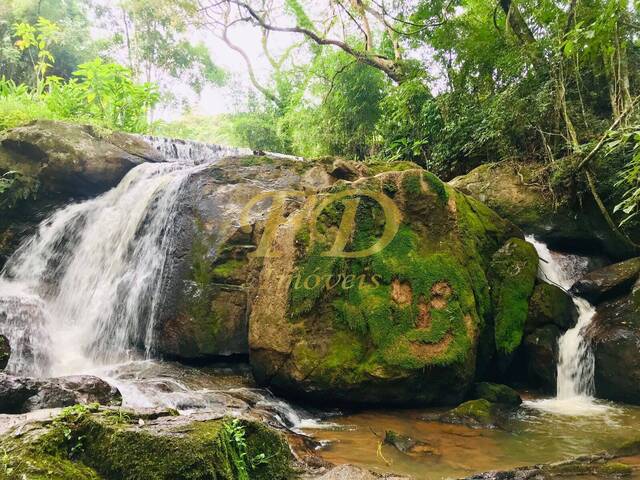 #1164 - Sítio para Venda em Pedra Bela - SP - 2