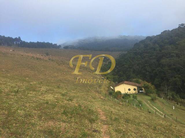 Sítio para Venda em Nazaré Paulista - 3