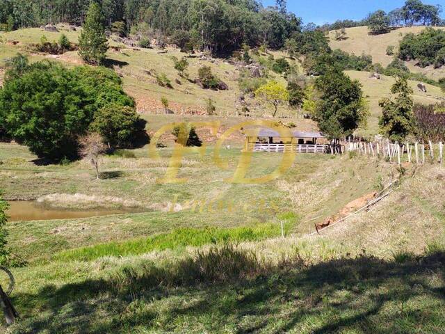 Fazenda para Venda em Piracaia - 5