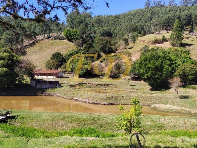 #1369 - Fazenda para Venda em Piracaia - SP - 2