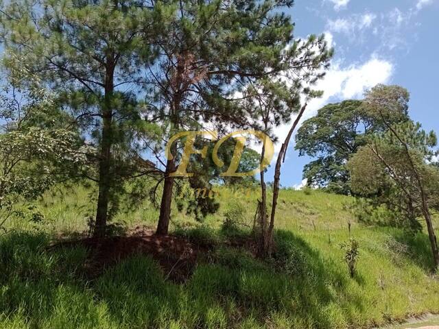 #1435 - Terreno em Condomínio para Venda em Atibaia - SP - 2