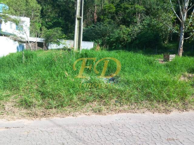 #1527 - Terreno para Venda em São Paulo - SP - 3