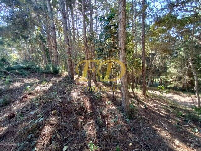 Venda em Clube da Montanha - Atibaia