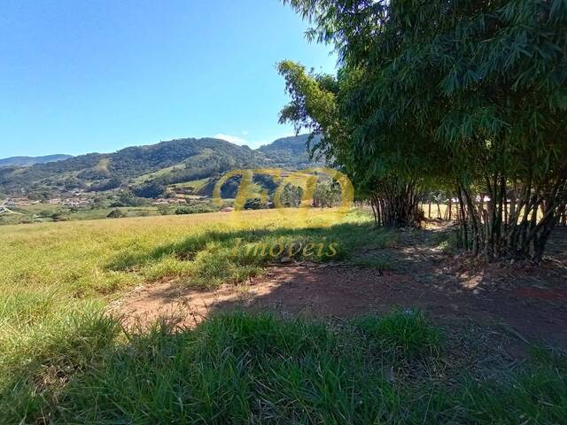 #1912 - Área Industrial e Comercial para Venda em Vargem - SP - 2