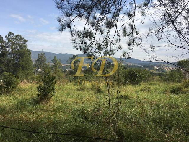 #2562 - Terreno para Venda em Bom Jesus dos Perdões - SP - 3