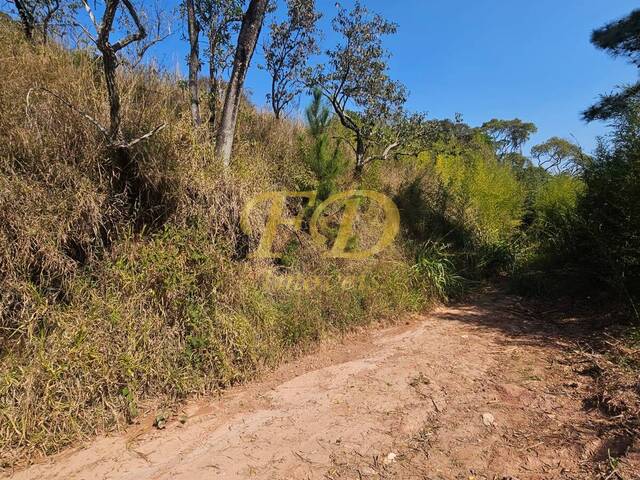 #2633 - Terreno para Venda em Mairiporã - SP - 1