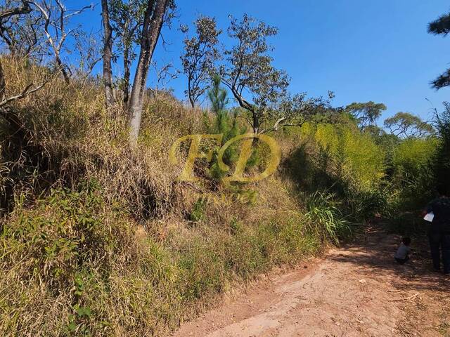 #2633 - Terreno para Venda em Mairiporã - SP - 3