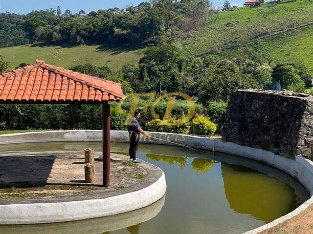 Sítio para Venda em Bom Jesus dos Perdões - 5