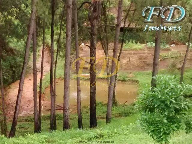 #54 - Fazenda para Venda em Mairiporã - SP - 3