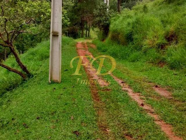 Fazenda para Venda em Mairiporã - 5