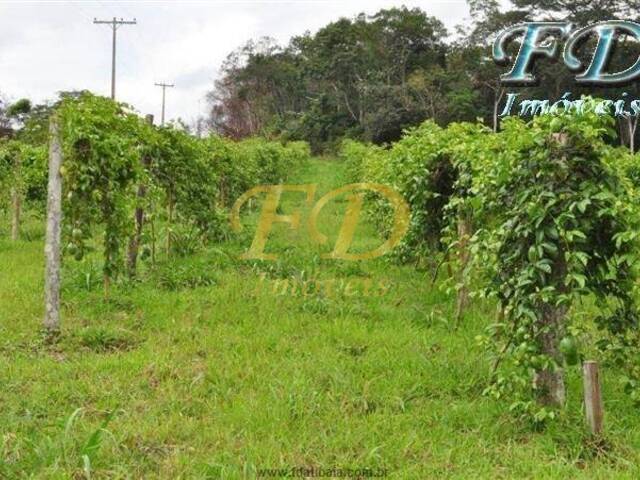 #2247 - Fazenda para Venda em Pariquera-Açu - SP - 2