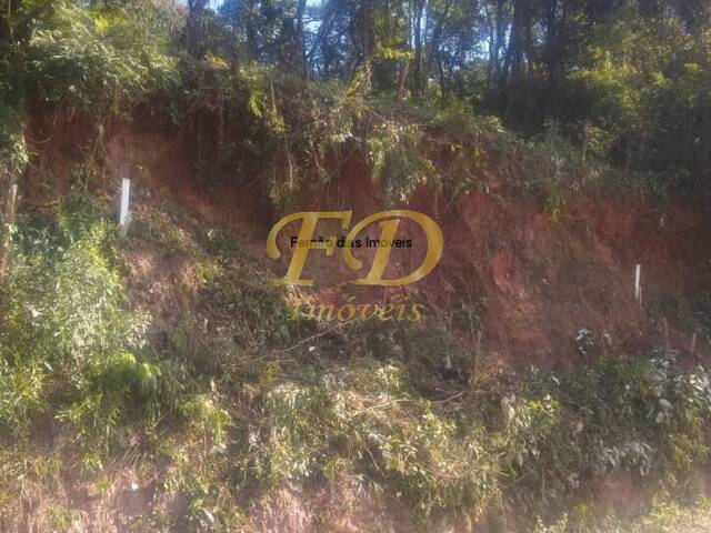 #1674 - Terreno para Venda em Mairiporã - SP - 3