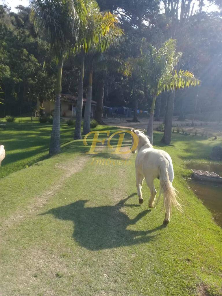 Fazenda à venda com 3 quartos, 450m² - Foto 8