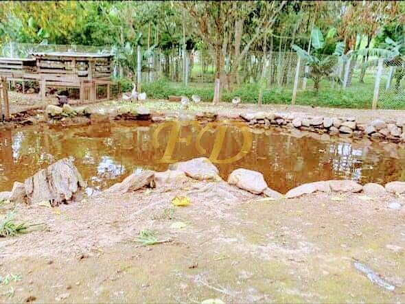 Fazenda à venda com 3 quartos, 200m² - Foto 8