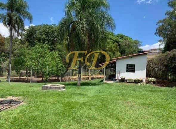 Fazenda à venda com 3 quartos, 200m² - Foto 12