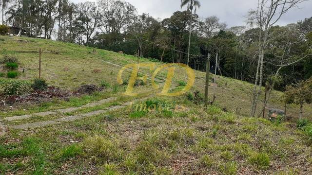 Terreno à venda, 20000m² - Foto 6