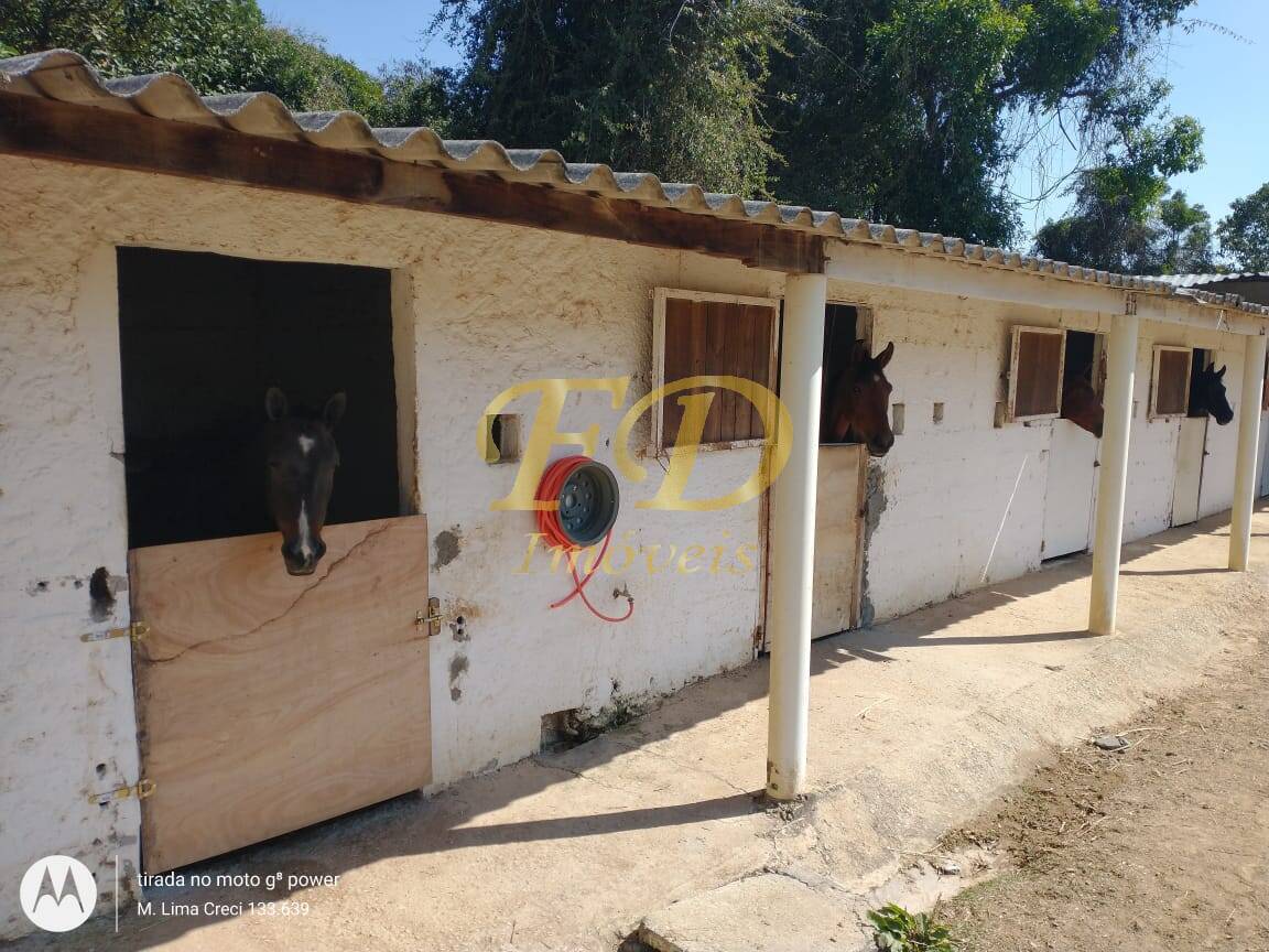 Fazenda à venda com 2 quartos, 250m² - Foto 4