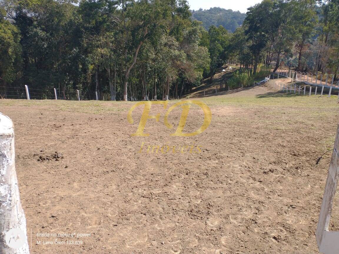 Fazenda à venda com 2 quartos, 250m² - Foto 5