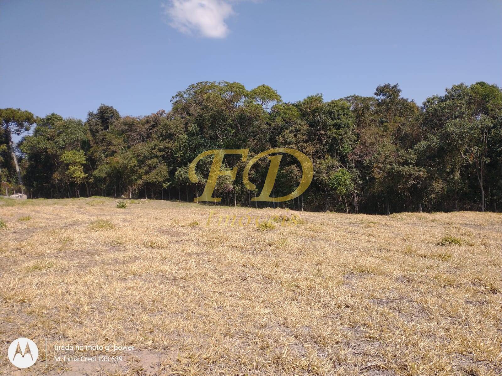 Fazenda à venda com 2 quartos, 250m² - Foto 29