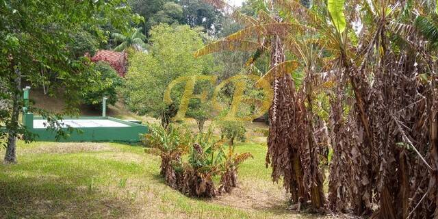 Fazenda à venda com 3 quartos, 250m² - Foto 3