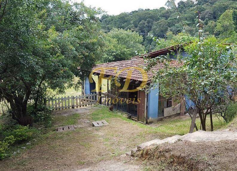 Fazenda à venda com 4 quartos, 120m² - Foto 5