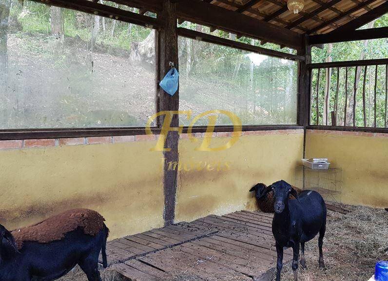 Fazenda à venda com 4 quartos, 120m² - Foto 41