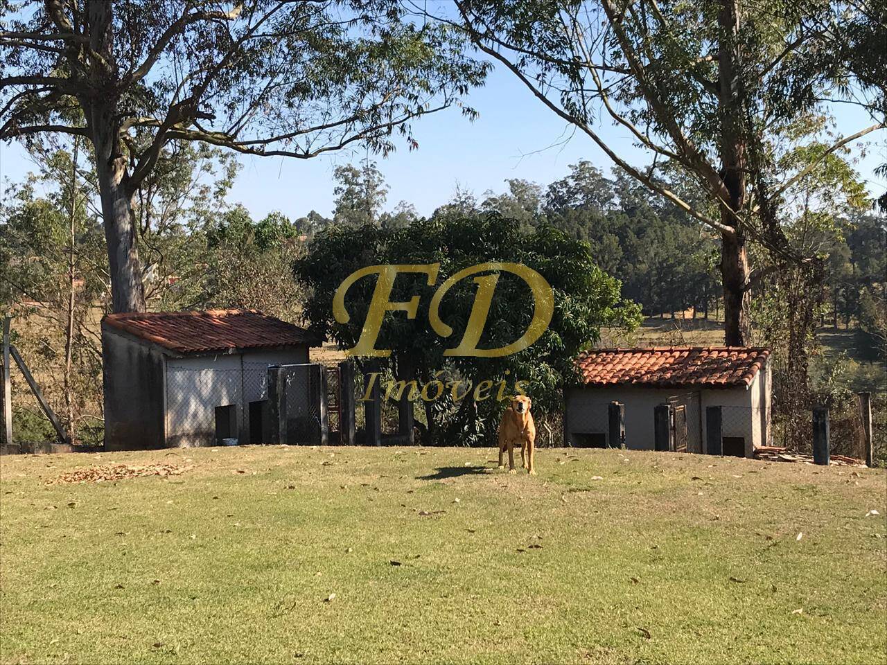 Fazenda à venda com 3 quartos, 200m² - Foto 36