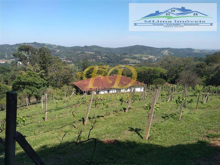 Fazenda à venda com 3 quartos, 200m² - Foto 8