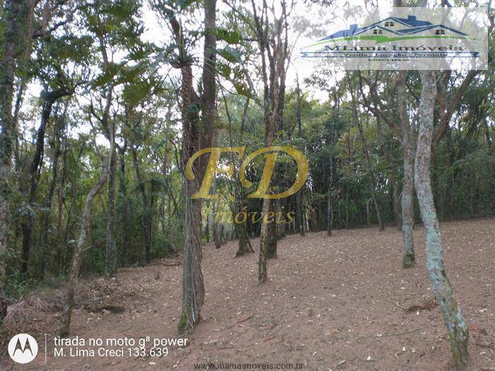 Fazenda à venda com 3 quartos, 200m² - Foto 16