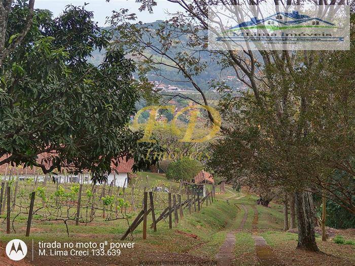 Fazenda à venda com 3 quartos, 200m² - Foto 24