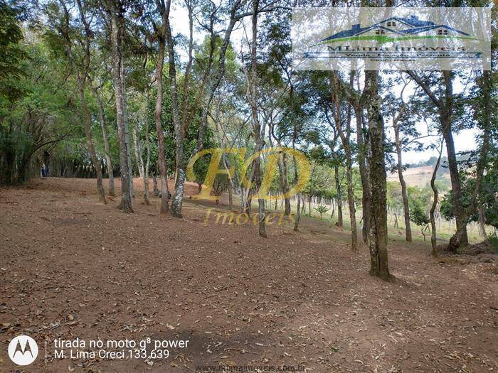 Fazenda à venda com 3 quartos, 200m² - Foto 27