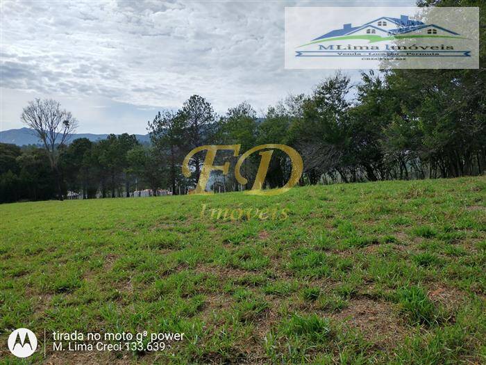 Fazenda à venda com 3 quartos, 200m² - Foto 26