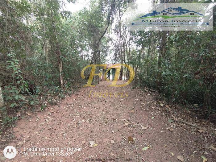 Fazenda à venda com 3 quartos, 200m² - Foto 37