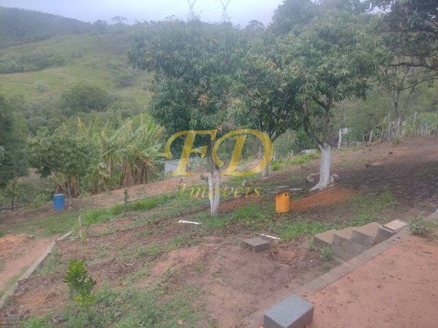 Fazenda à venda com 3 quartos, 300m² - Foto 15