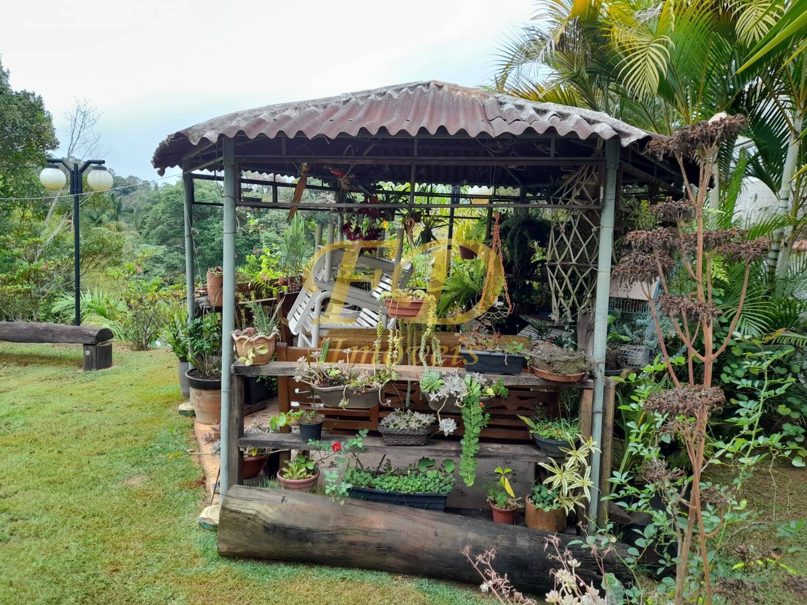 Fazenda à venda com 6 quartos, 450m² - Foto 53