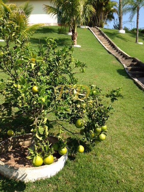 Fazenda à venda com 6 quartos, 600m² - Foto 15