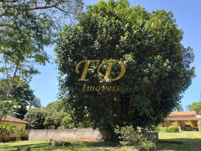 Fazenda à venda com 3 quartos, 150m² - Foto 10