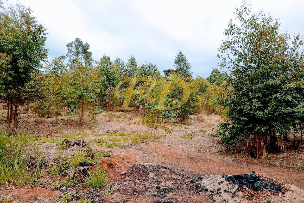 Fazenda à venda com 3 quartos, 400m² - Foto 7