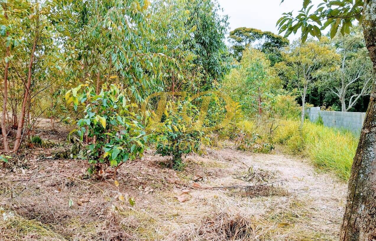 Fazenda à venda com 3 quartos, 400m² - Foto 10