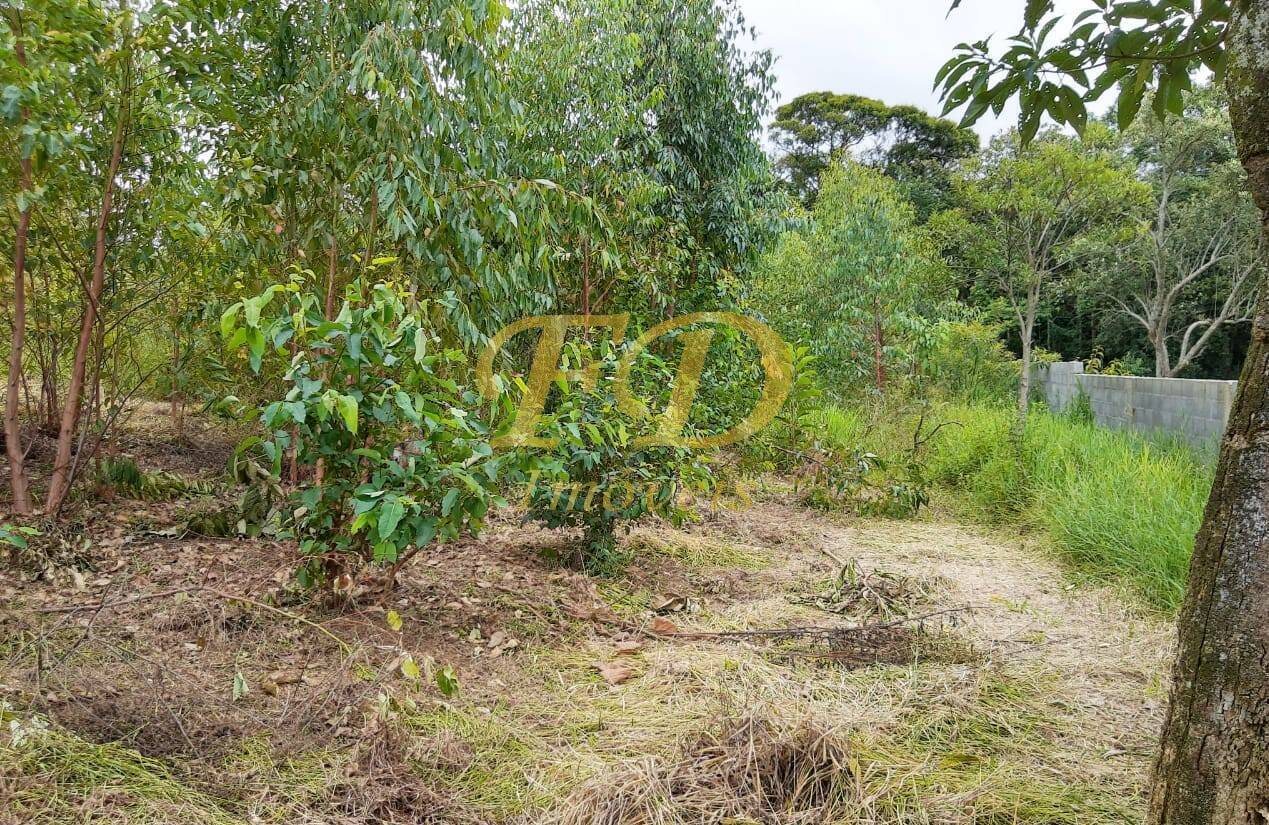 Fazenda à venda com 3 quartos, 400m² - Foto 13