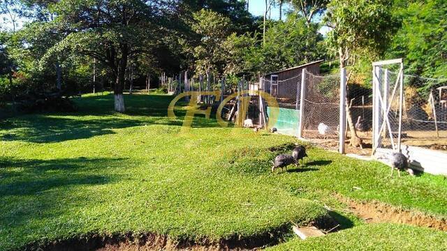 Fazenda à venda com 4 quartos, 15600m² - Foto 8