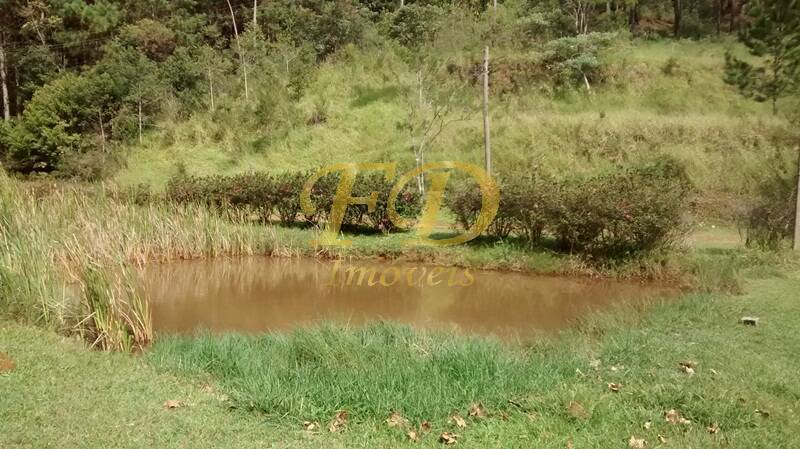 Fazenda à venda com 4 quartos, 500m² - Foto 8