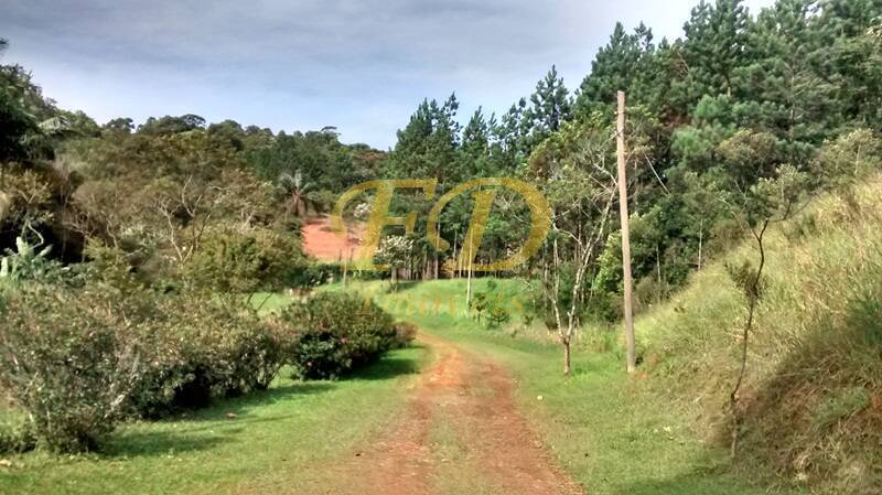 Fazenda à venda com 4 quartos, 500m² - Foto 15