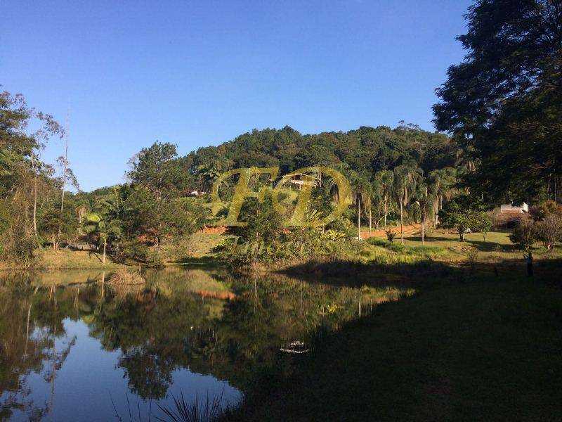 Fazenda à venda com 4 quartos, 500m² - Foto 125