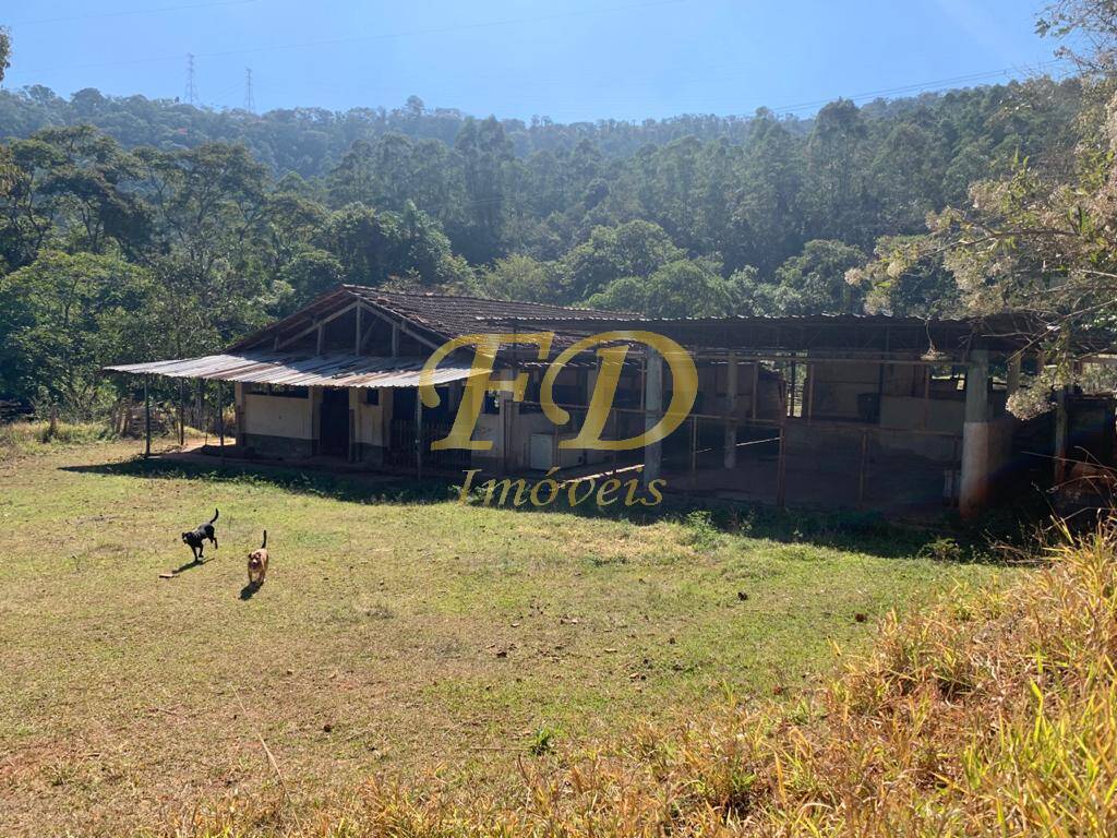 Fazenda à venda com 5 quartos, 260m² - Foto 49