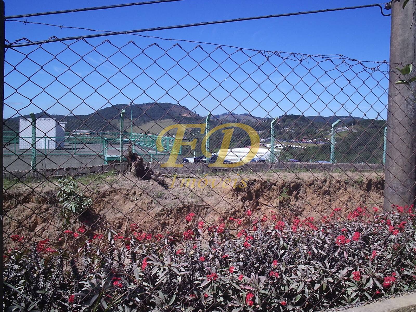 Fazenda à venda com 3 quartos, 400m² - Foto 53