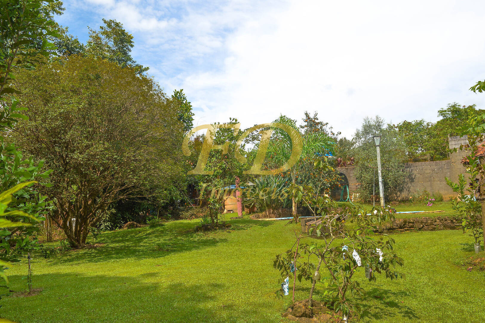 Fazenda à venda com 3 quartos, 200m² - Foto 4