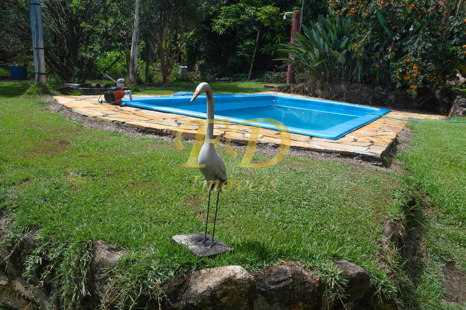 Fazenda à venda com 3 quartos, 200m² - Foto 12