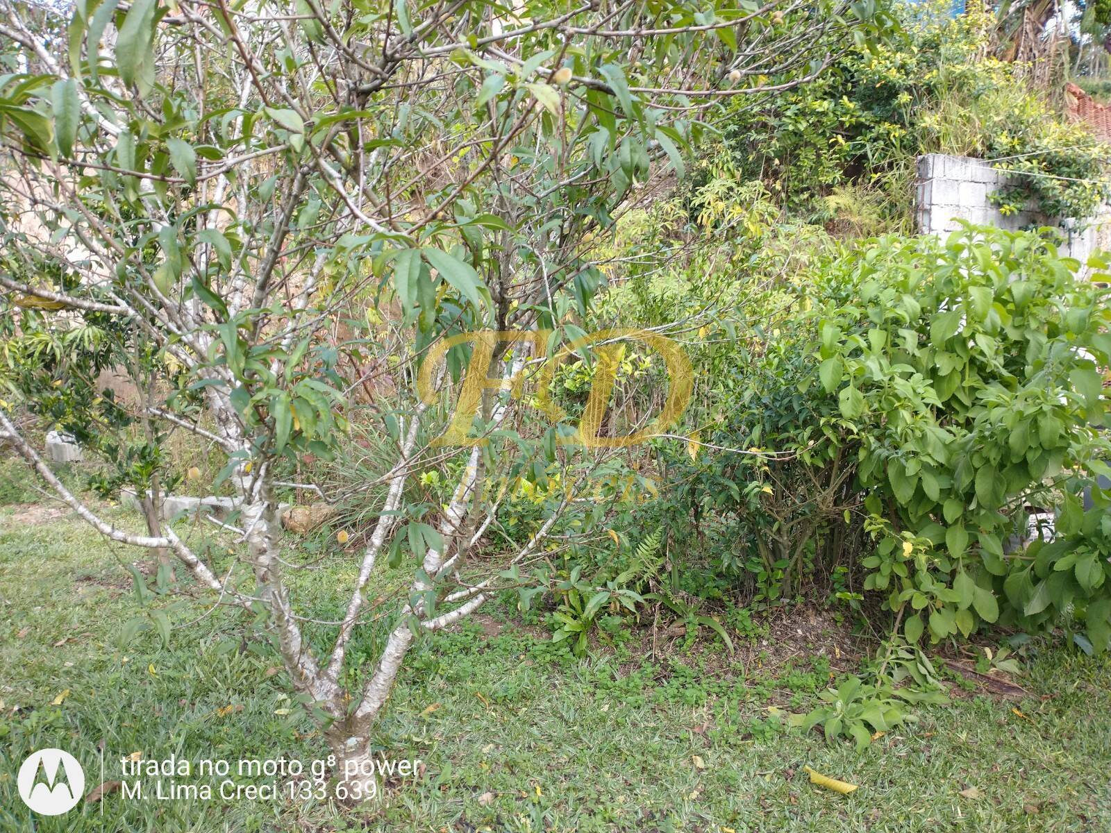 Fazenda à venda com 4 quartos, 320m² - Foto 38